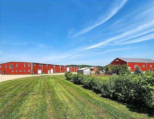 {{alt}} | Card Image