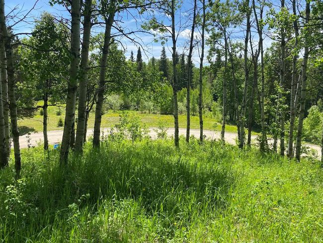 4 - 15015 Township Road 424, Home with 0 bedrooms, 0 bathrooms and null parking in Bashaw AB | Image 13