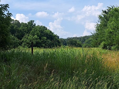000 Little Mill Road, Granby, MO, 64844 | Card Image