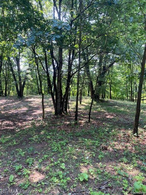4 Sleaford-Parcel 4 - 32.92 Acres Road, Howell Township, MI, 48843 | Card Image