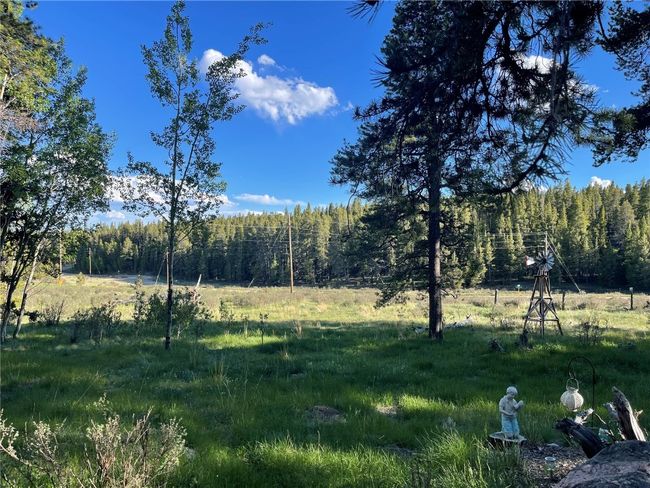 Meadow | Image 32