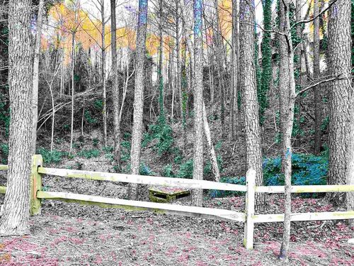 0 Niblic Dr, Alpharetta, GA, 30022 | Card Image