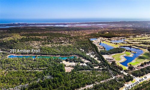 251 Amber Trail, Palm Coast, FL, 32137 | Card Image