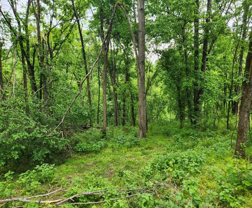 0 Thompson Hill Rd, Bethpage, TN, 37022 | Card Image