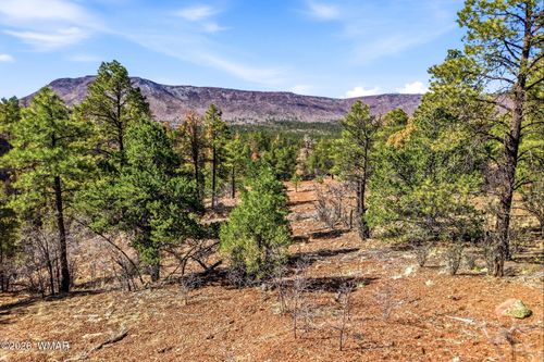 TBD Cr N2278, Nutrioso, AZ, 85932 | Card Image