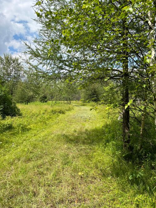 Lot 44 Big Cub Trl, Laona, WI, 54541 | Card Image