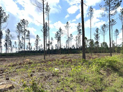 0 Grant 9, Sheridan, AR, 72150 | Card Image