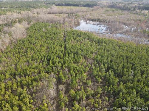  Qualls Road, Hollister, NC, 27844 | Card Image