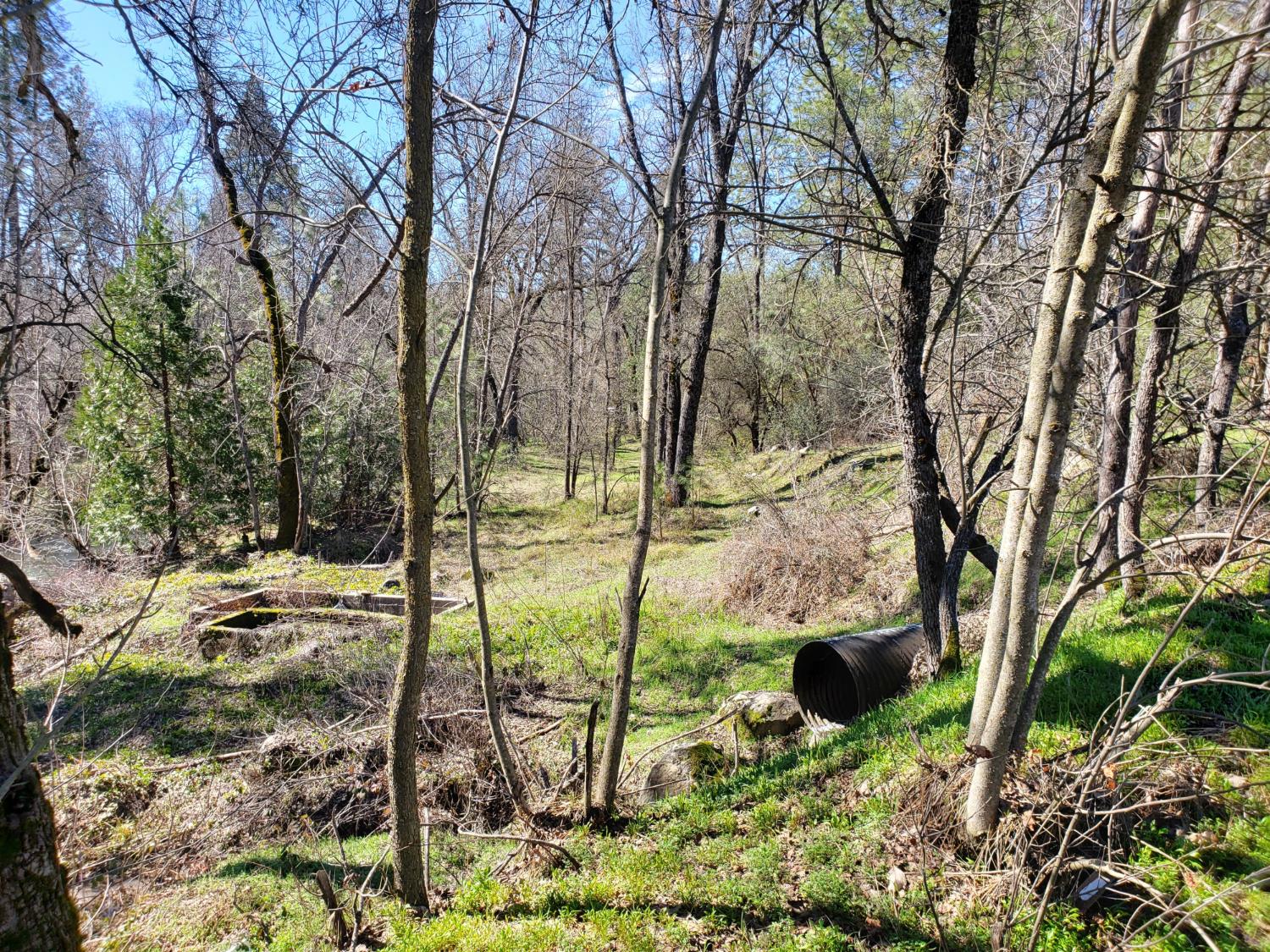 Land in North Fork 5