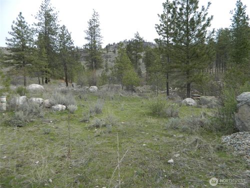 0 Tbd Six Gun Way, Tonasket, WA, 98855 | Card Image