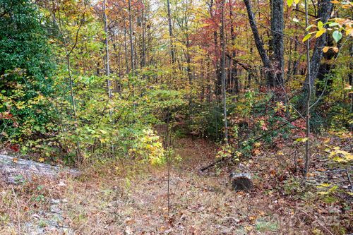 4B Lower Flat Creek Rd, Black Mountain, NC, 28711 | Card Image