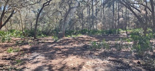 119 Gardenia Ave, GEORGETOWN, FL, 32139 | Card Image