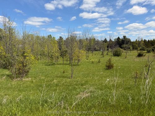 Lot 55 Country Rd 25 N/A, Trent Hills, ON, K0K3K0 | Card Image