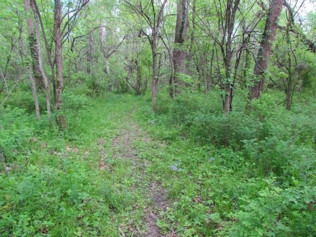 Tract 1 Renick Road, Home with 0 bedrooms, 0 bathrooms and null parking in Oak Grove MO | Image 30