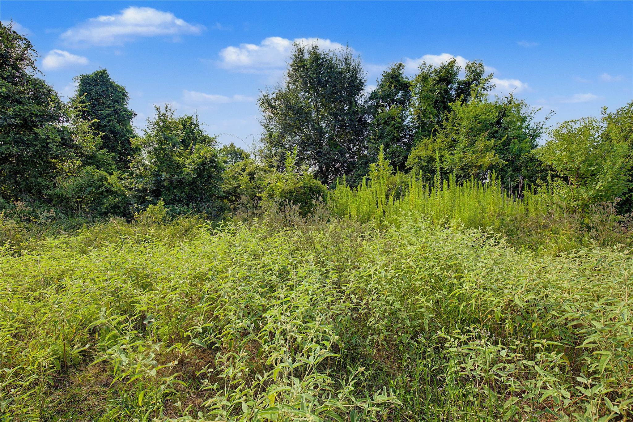 Land in Onalaska 4