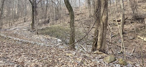 4 Balsam Slopes Rd, Sevierville, TN, 37862 | Card Image