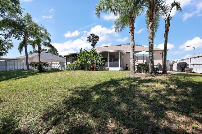 Numerous palm trees = true Florida living | Image 28
