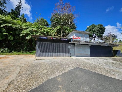 Carr 568 Km 30.3 Int Carr 568 Km 30.3 Int, Corozal, Pr 00783, Corozal, PR, 00783 | Card Image