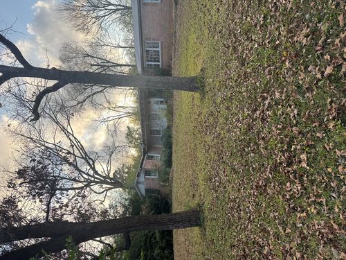 105 Dogwood St, Palestine, TX, 75801-5259 | Card Image