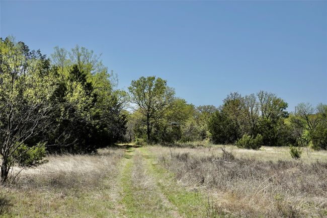 12345 County Road 107, Home with 0 bedrooms, 0 bathrooms and null parking in Mingus TX | Image 25