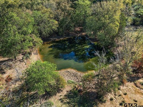 TBD 38.79-Acres, Alto, TX, 75925 | Card Image