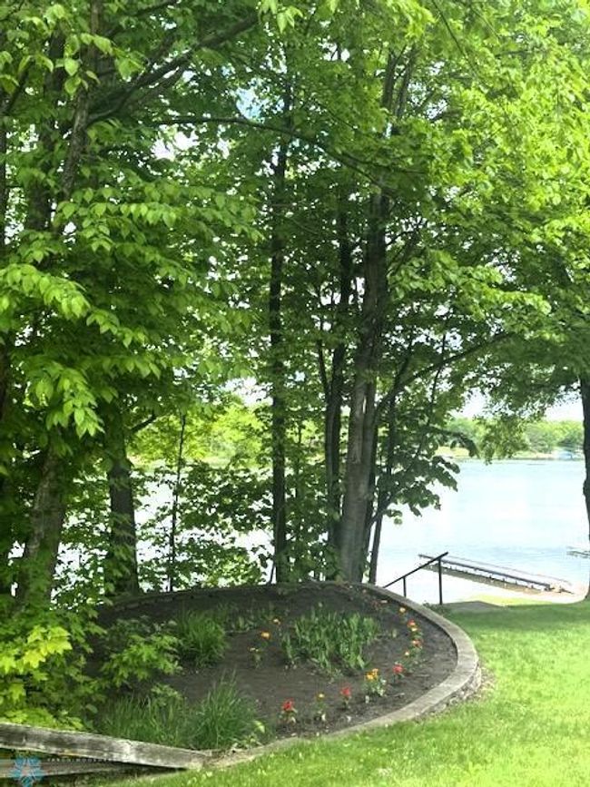 Flower Gardent to Lake | Image 15