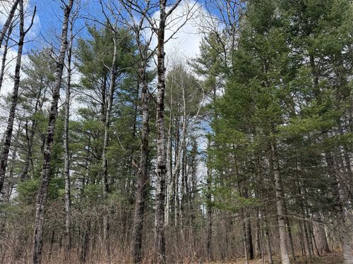 Lot 98 Balsam Ct, Cable, WI, 54821 | Card Image