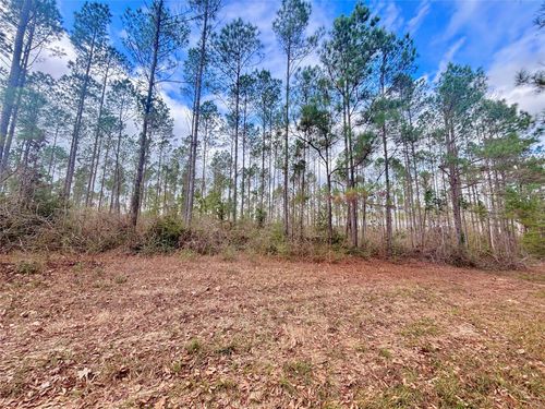 2 Fm 1005, Jasper, TX, 75951 | Card Image