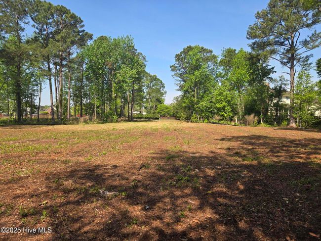 1254 Shenandoah St, Home with 0 bedrooms, 0 bathrooms and null parking in Wilmington NC | Image 15