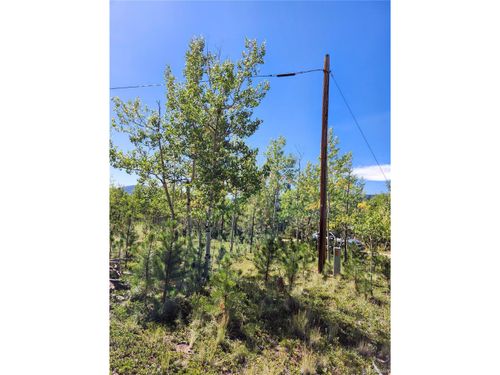 106 Road P67, Bailey, CO, 80421-1239 | Card Image