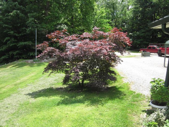 10271 Newport Rd, House other with 4 bedrooms, 3 bathrooms and null parking in Bowling Green IN | Image 19