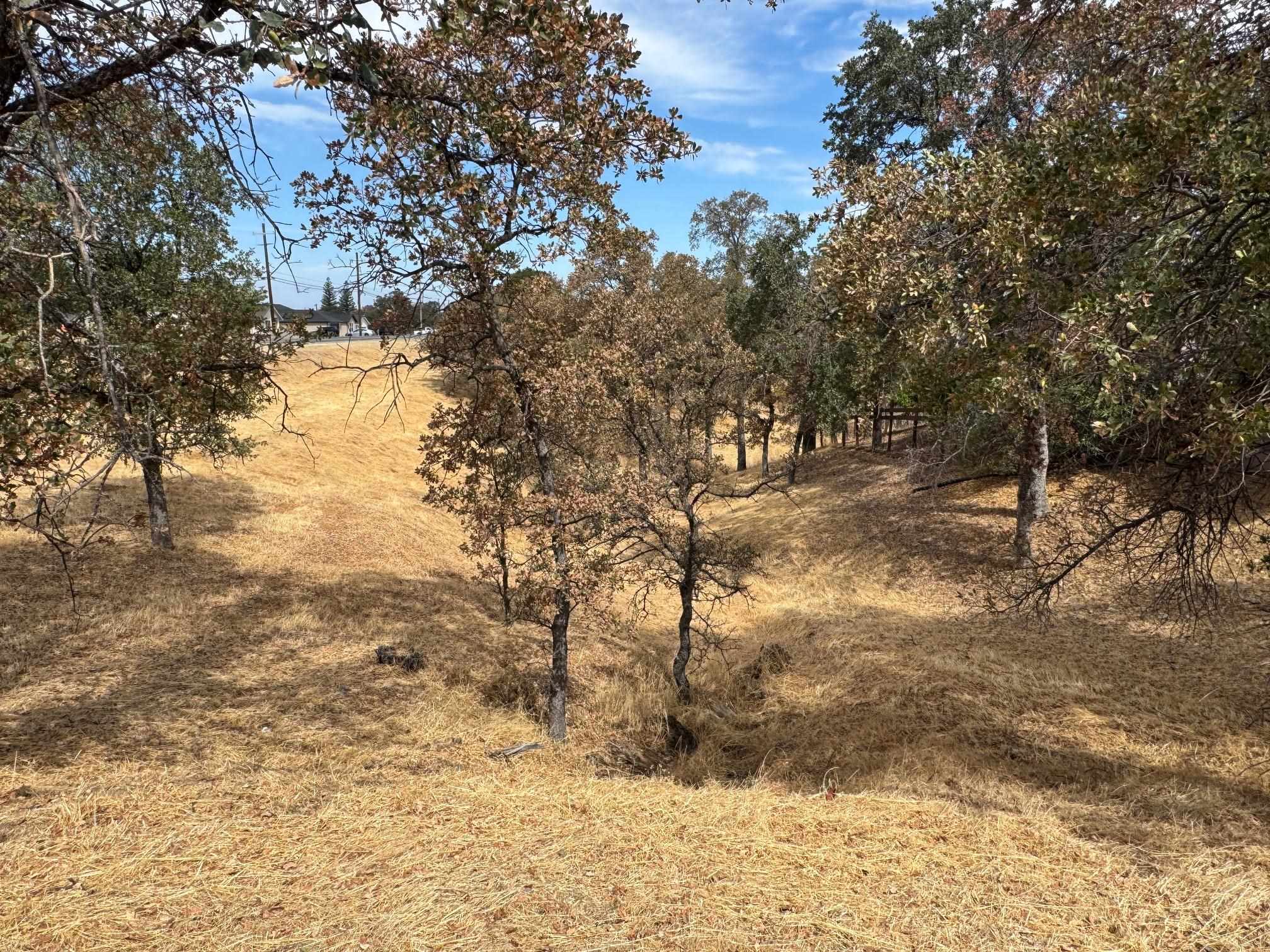 Land in Cottonwood 2