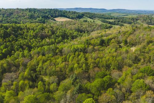 TBD Black Ridge Rd, Floyd, VA, 24091 | Card Image