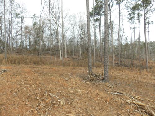 3 Mosley Rd, Lincolnton, GA, 30817 | Card Image