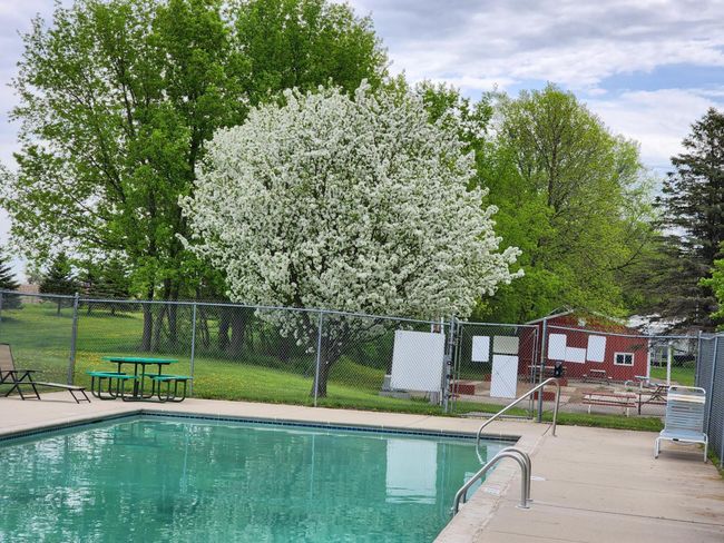 In-ground heated swimming pool | Image 36