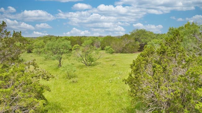 View of tree filled area | Image 8