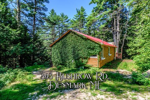 393 Bush Row Road, Denmark, ME, 04022 | Card Image