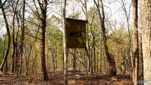 20.5 acres County Road 491, Stevenson, AL, 35772 | Card Image