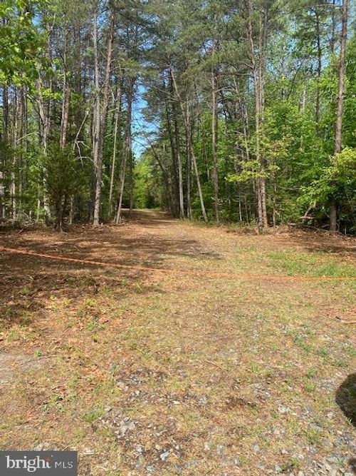 0 Carters Gate Rd, RUTHER GLEN, VA, 22546 | Card Image