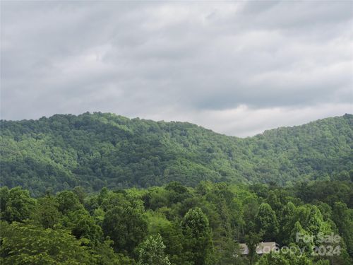 lot-11-60 Gins Lane, Mars Hill, NC, 28754 | Card Image