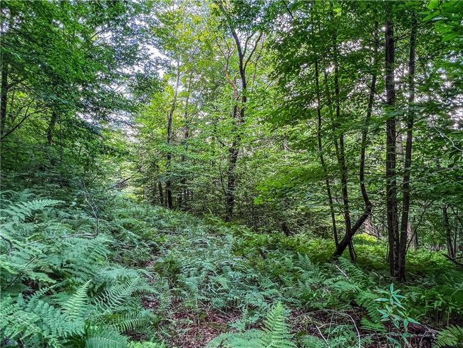 22+ Acres | Image 23