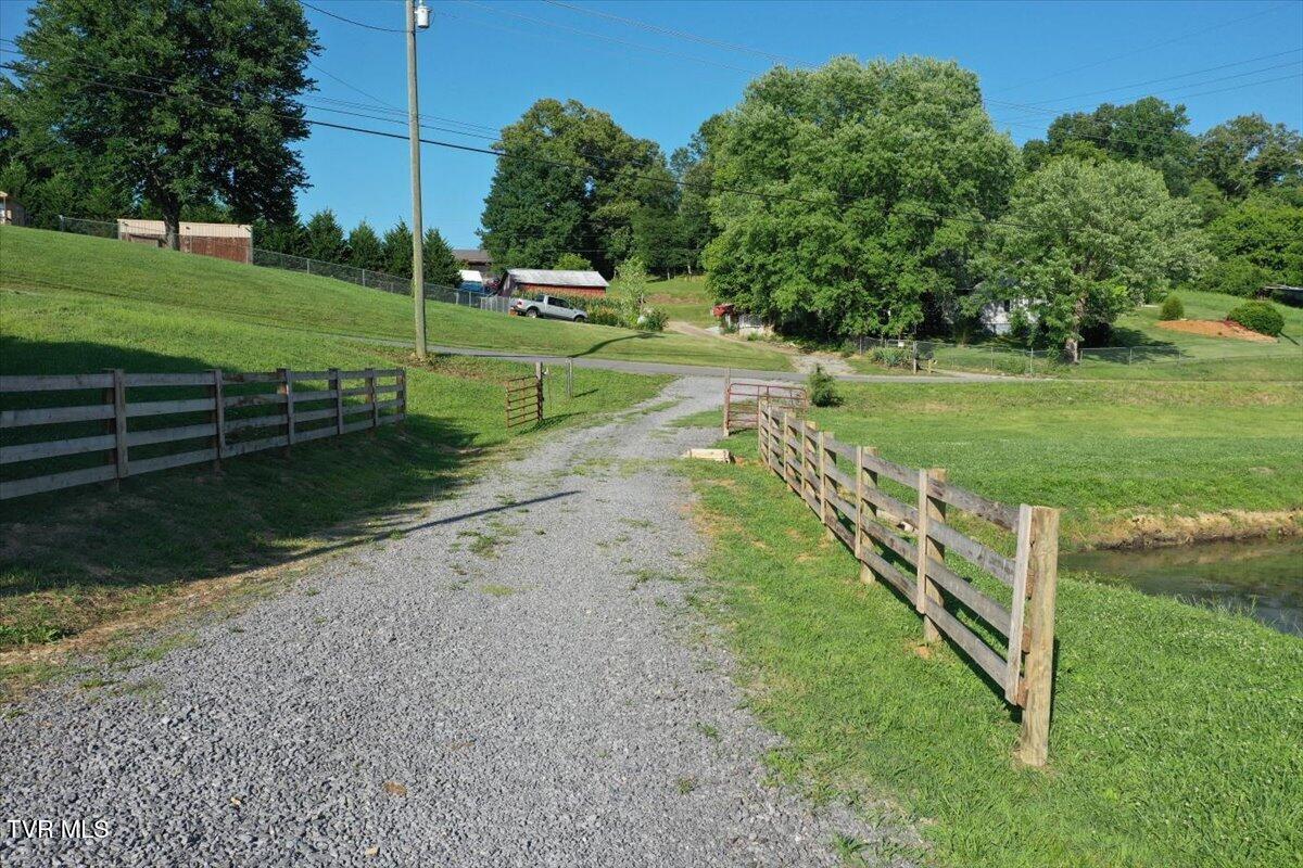Land in Rogersville 2