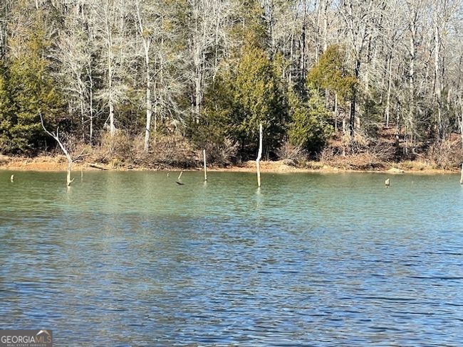 1276 Hornets Bridge Rd, Home with 0 bedrooms, 0 bathrooms and null parking in Elberton GA | Image 6