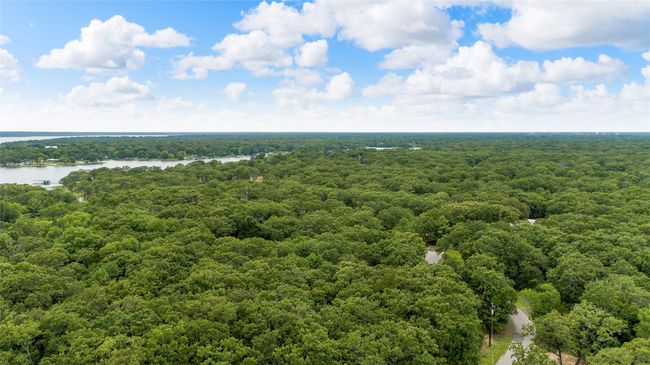 Aerial view of a forest and a large body of water | Image 32