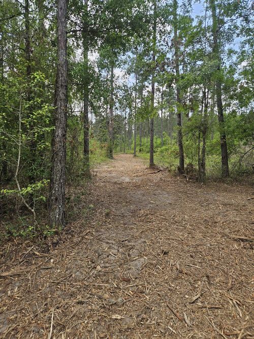 Lot 2 Rocky Creek Rd, Marianna, FL, 32448 | Card Image