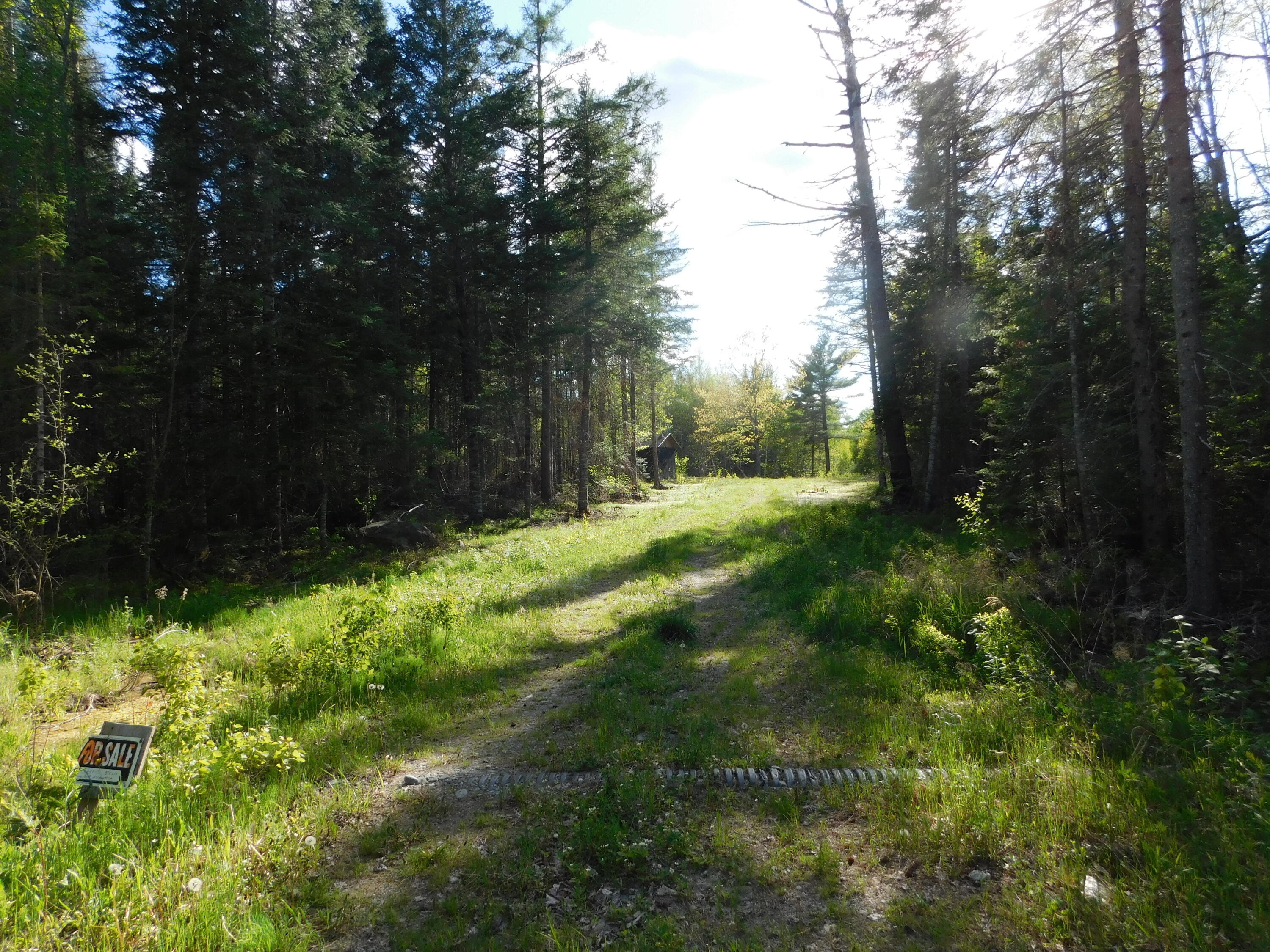 Land in Lowell 3