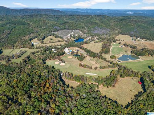 3463 County Road 3, Delta, AL, 36258-8857 | Card Image