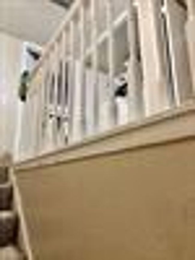 APT-1804 - 6200 W Tidwell Rd, House attached with 2 bedrooms, 2 bathrooms and null parking in Houston TX | Image 5