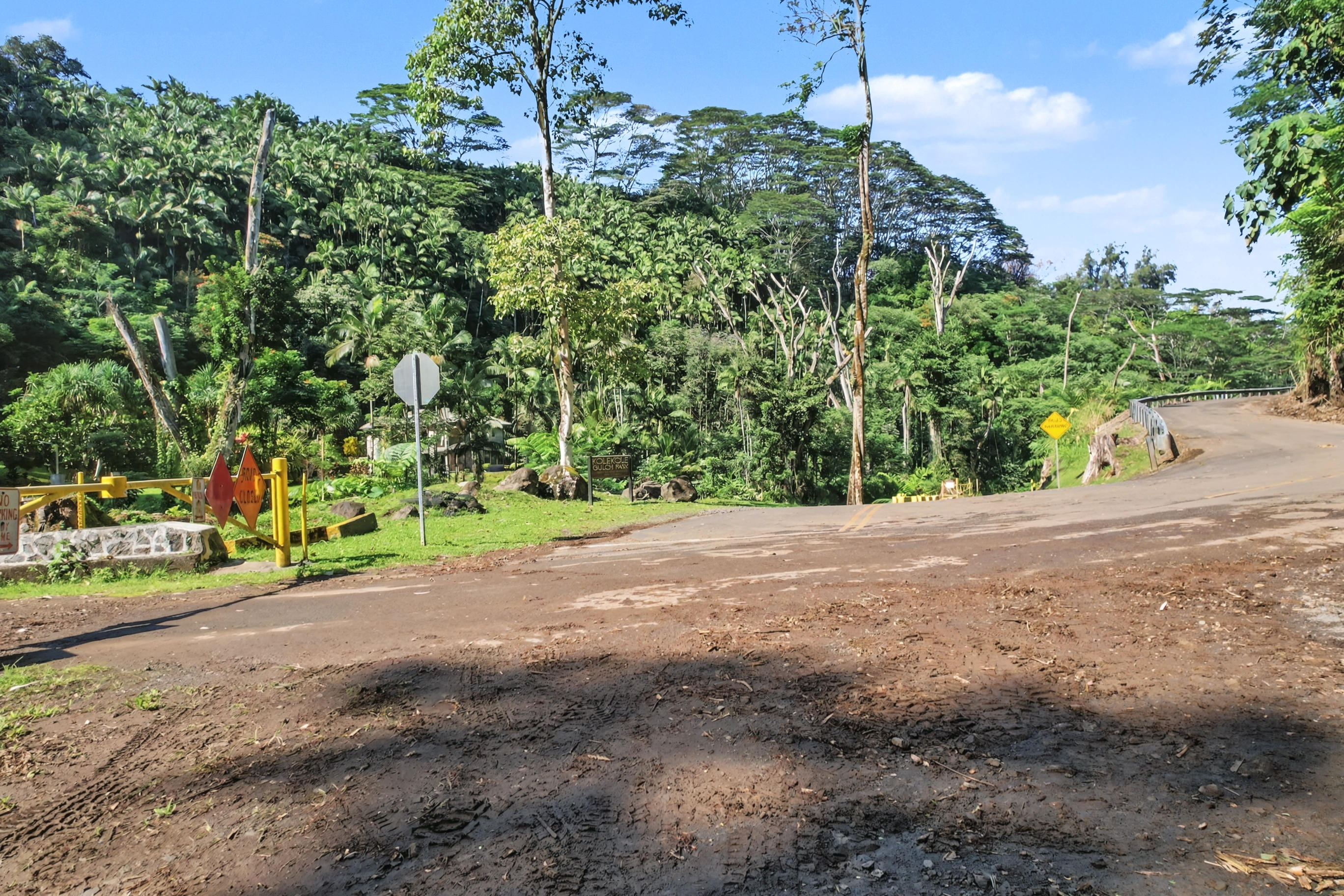 Land in Honomu 5