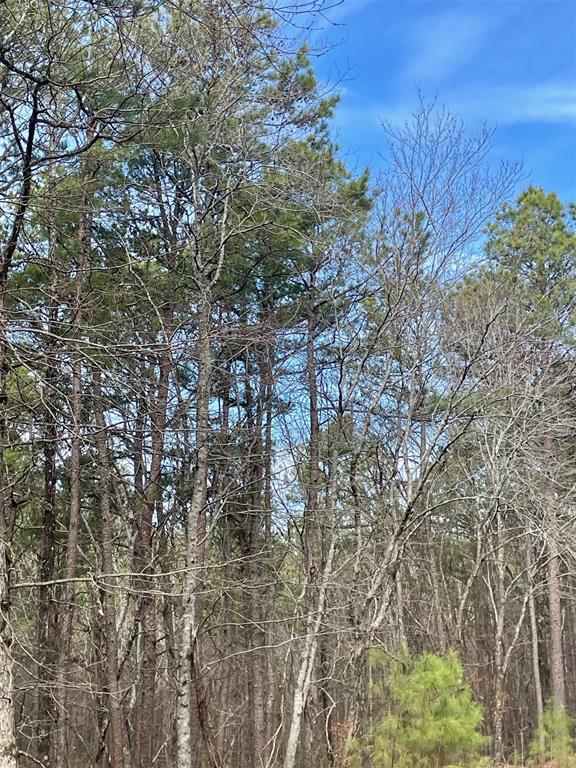 Land in Broken Bow 2
